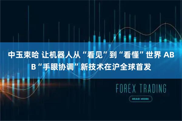 中玉束哈 让机器人从“看见”到“看懂”世界 ABB“手眼协调”新技术在沪全球首发