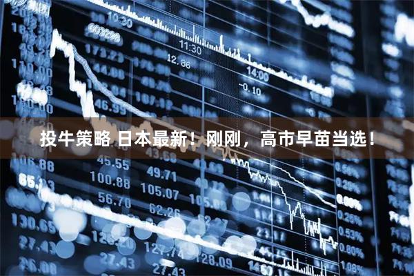 投牛策略 日本最新！刚刚，高市早苗当选！
