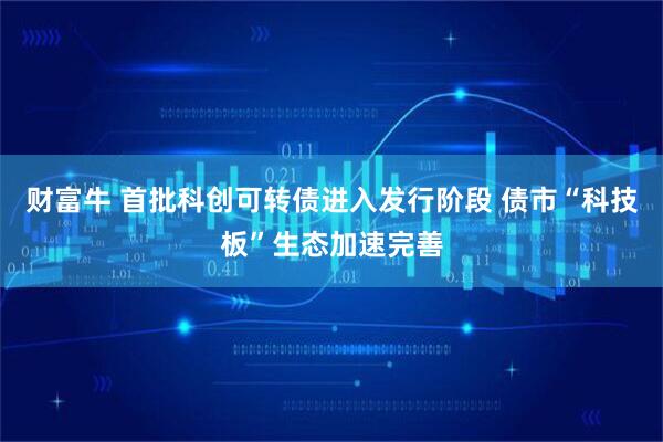 财富牛 首批科创可转债进入发行阶段 债市“科技板”生态加速完善