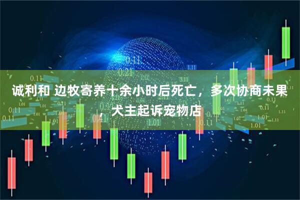 诚利和 边牧寄养十余小时后死亡，多次协商未果，犬主起诉宠物店